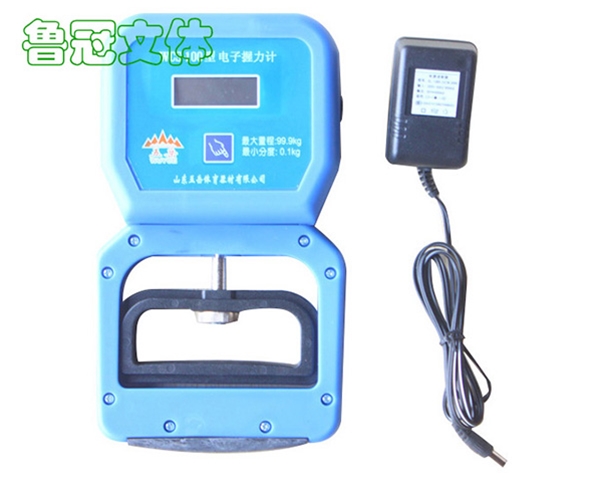 LG-WSQC0029電子握力計(jì)